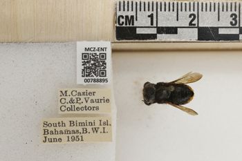 Media type: image;   Entomology 788895 Aspect: Labels